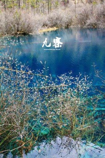 救援卡通熊仔